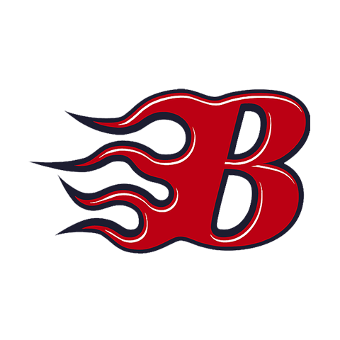 Blaze Softball Logo
